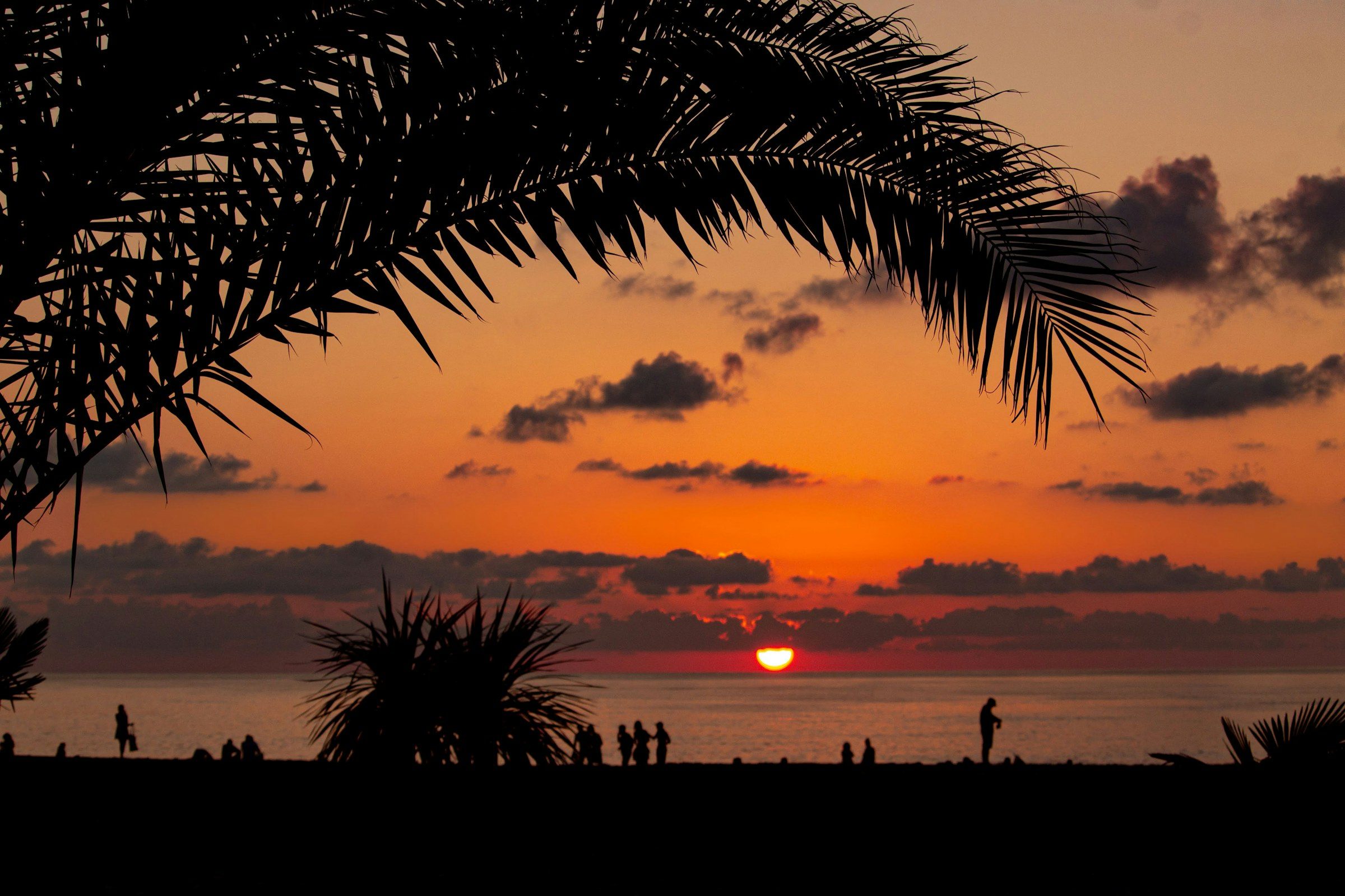 Sunset over the Caribbean framed by palm fronds