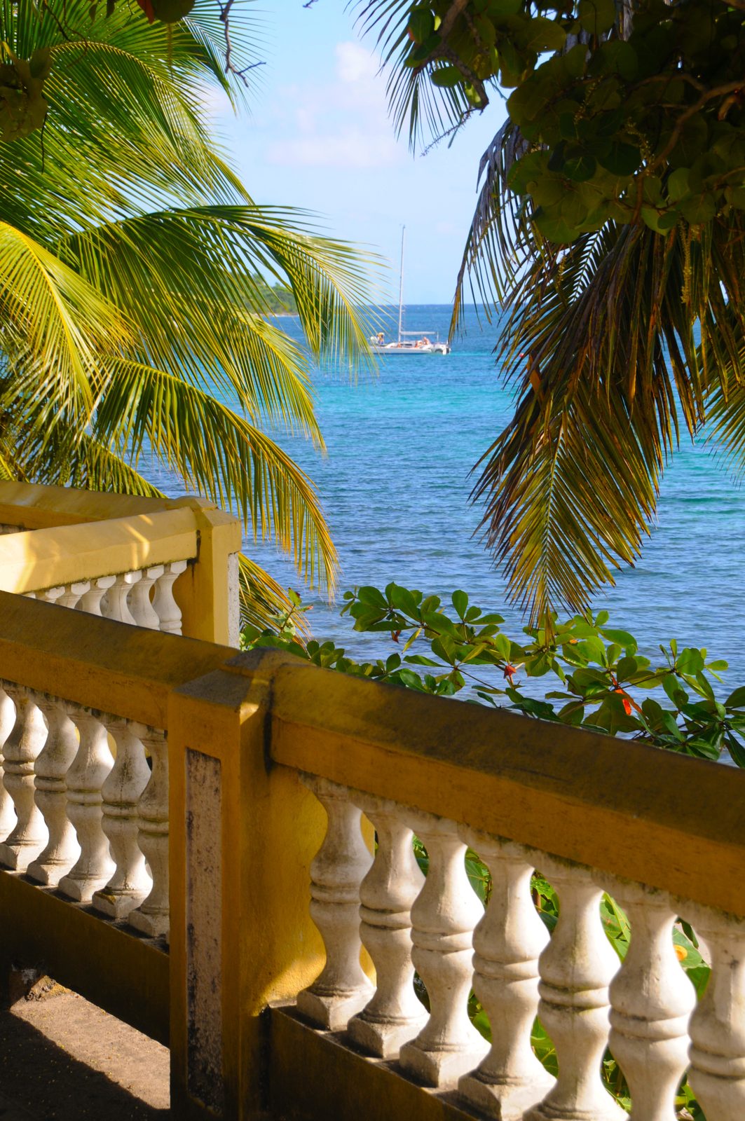 Palm trees over the yellow seawall railing on the Esperanza malec&oacute;n in Vieques