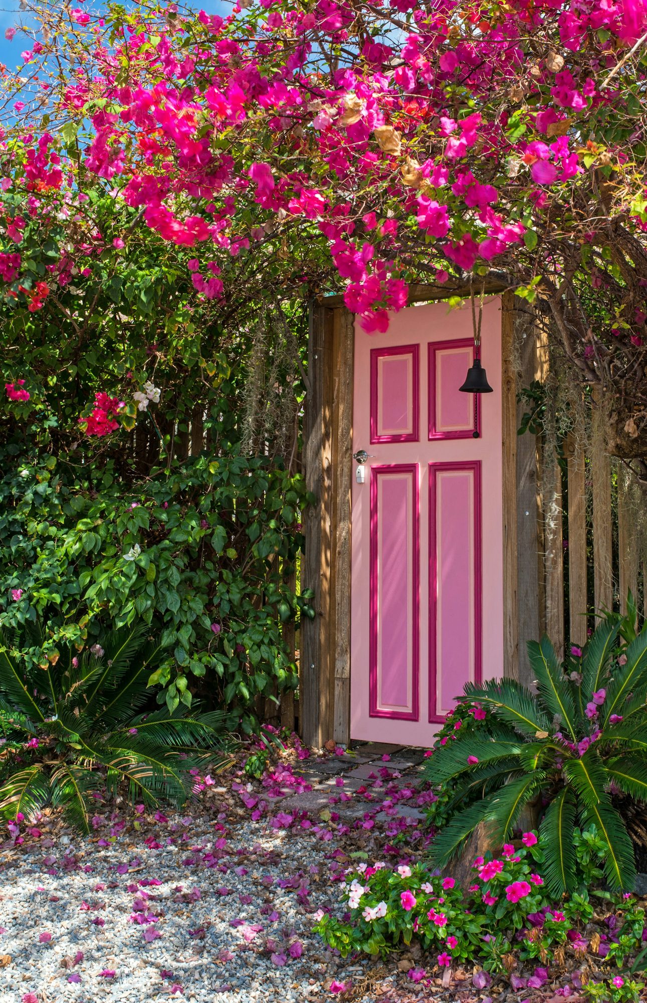A pink door framed by bougainvillea